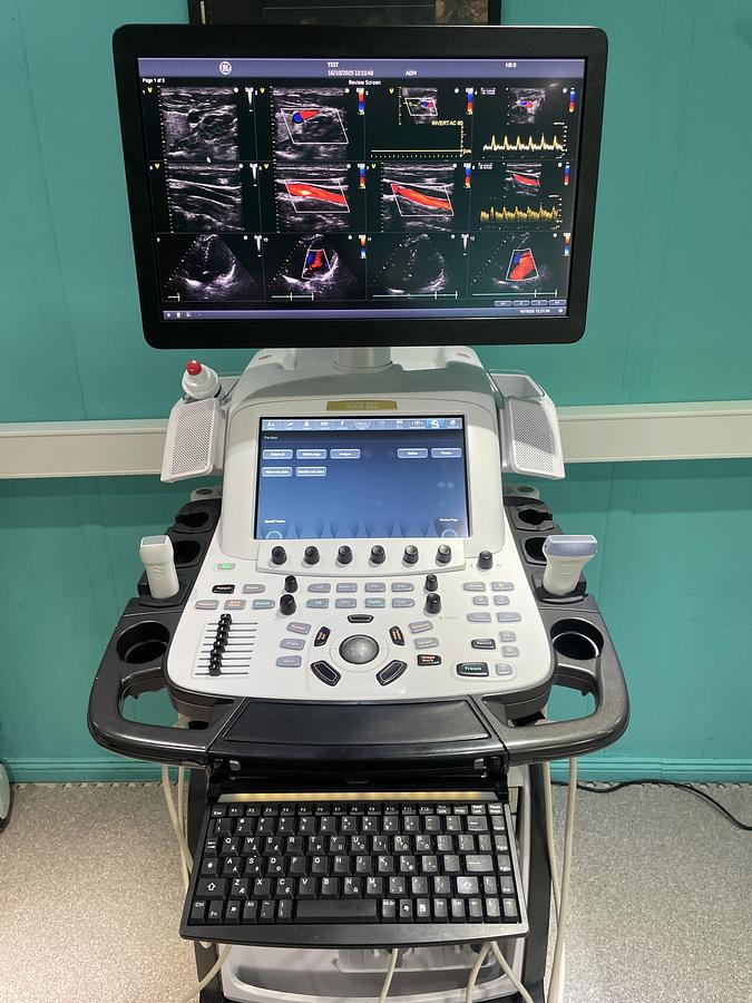 Gebraucht GE Vivid E95 v202 Ultraschallgerät mit zwei Sonden