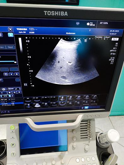 Gebraucht Toshiba Aplio 500 Ultraschallgerät mit 3 Sonden