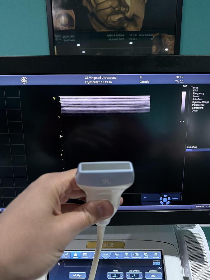 Gebraucht GE Vivid E95 v202 Ultraschallgerät mit zwei Sonden 