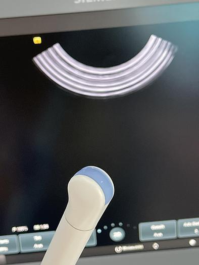 Used Siemens EC9-4 Endovaginal Ultraschallsonde