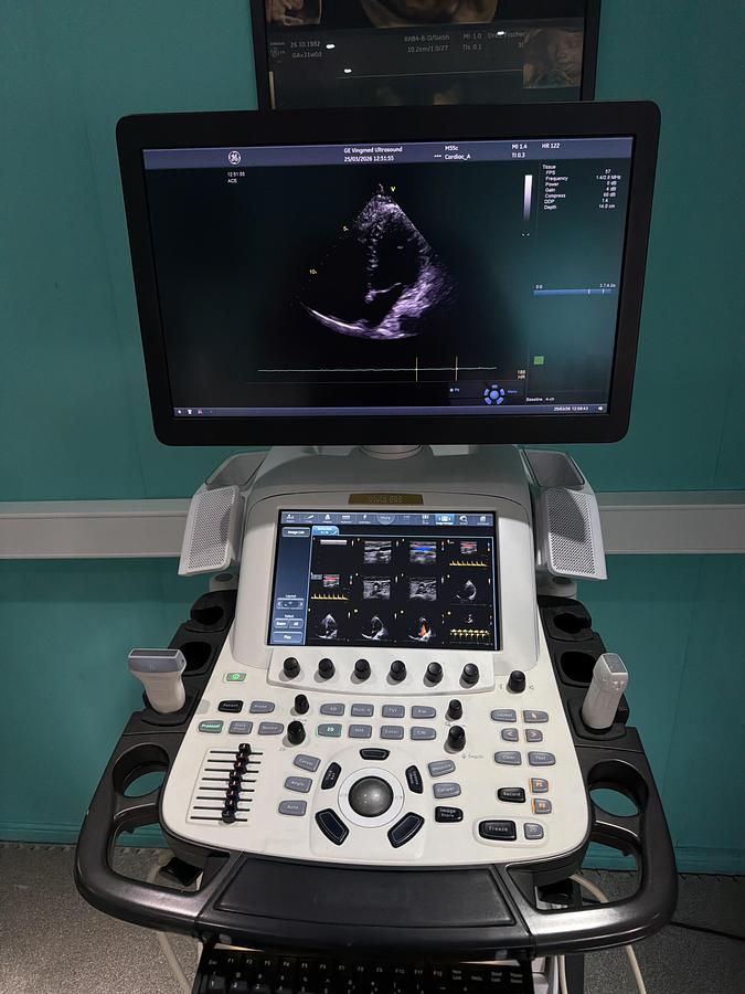 Gebraucht GE Vivid E95 v202 Ultraschallgerät mit zwei Sonden 