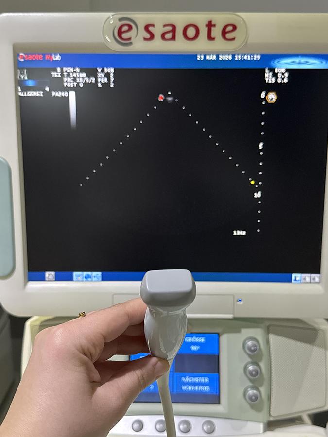 Gebraucht Esaote PA240 Kardio Ultraschallsonde 