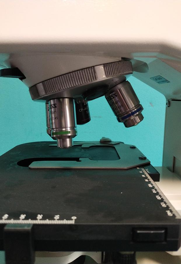 Gebraucht Zeiss Axioskop 40 Mikroskopie  