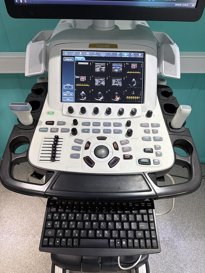 Gebraucht GE Vivid E95 v202 Ultraschallgerät mit zwei Sonden 