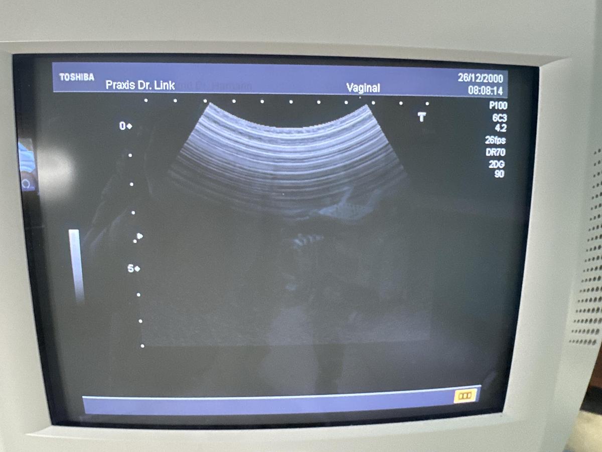 Gebraucht Toshiba PVM-375AT