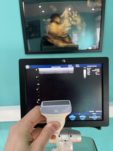 Gebraucht GE Vivid S5 Ultraschallgerät mit zwei Sonden 