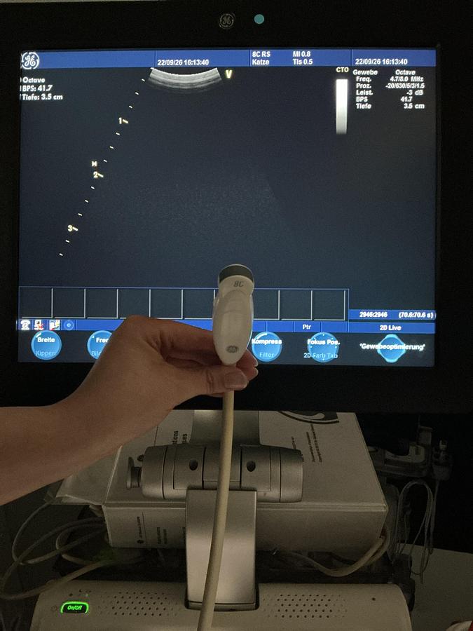 Gebraucht GE 8C-RS Mikro Konvex Ultraschallsonde