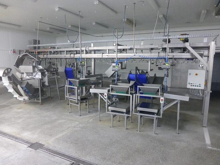 Used COMPLETE CHICKEN FACTORY EQUIPMENT