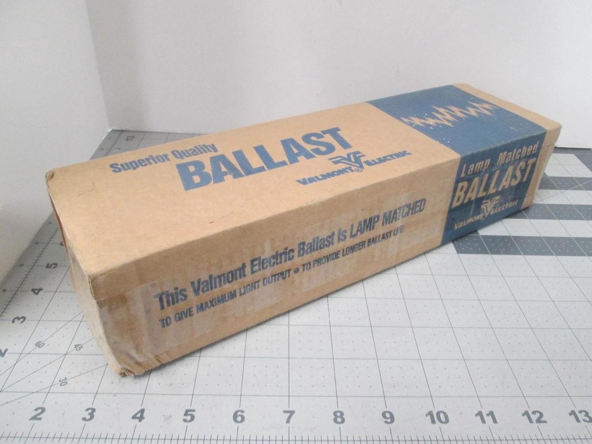 Valmont Electric Ballast, 8G3700W, Class P, 277V, 60Hz, New