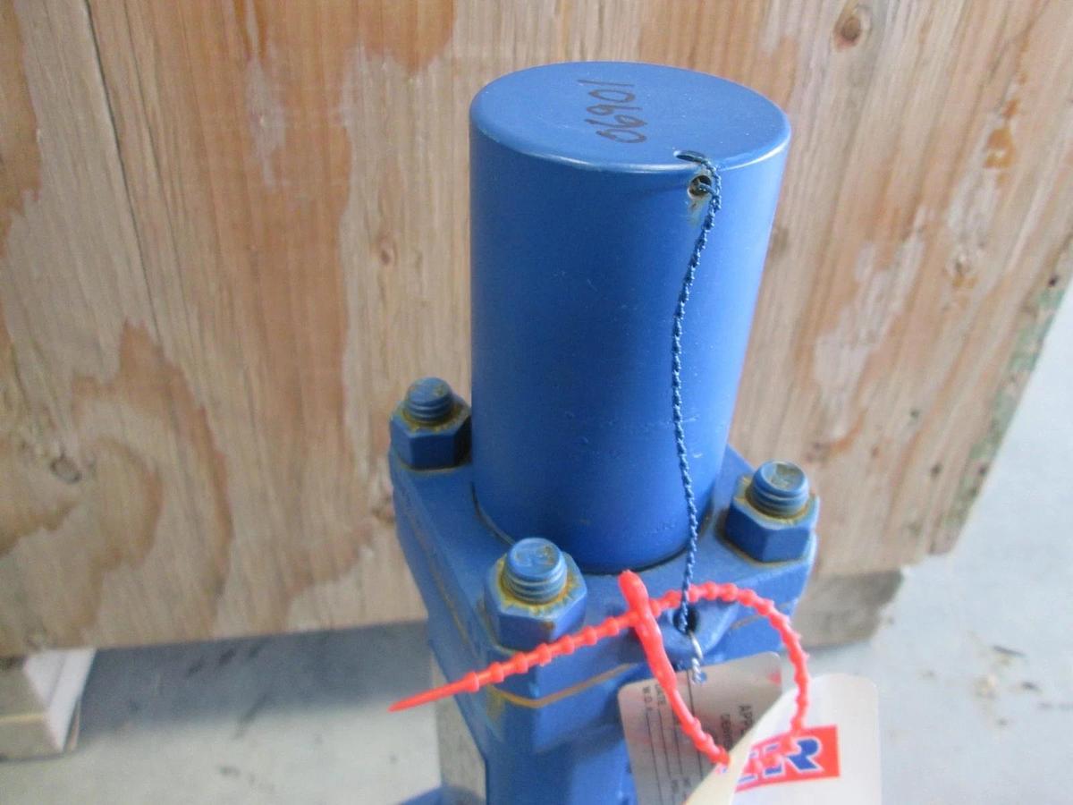 Leser, Pressure Relief Valve, 5262.0022, RV-06901, Size NPS1, unused