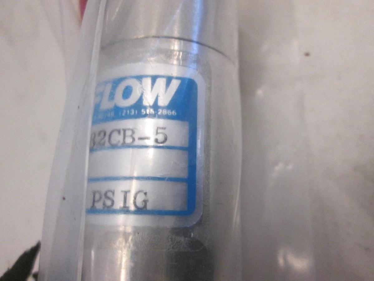 Autoflow FS1582CB-5 Flow Switch for High Flow Liquid, Buna-N Seal, New