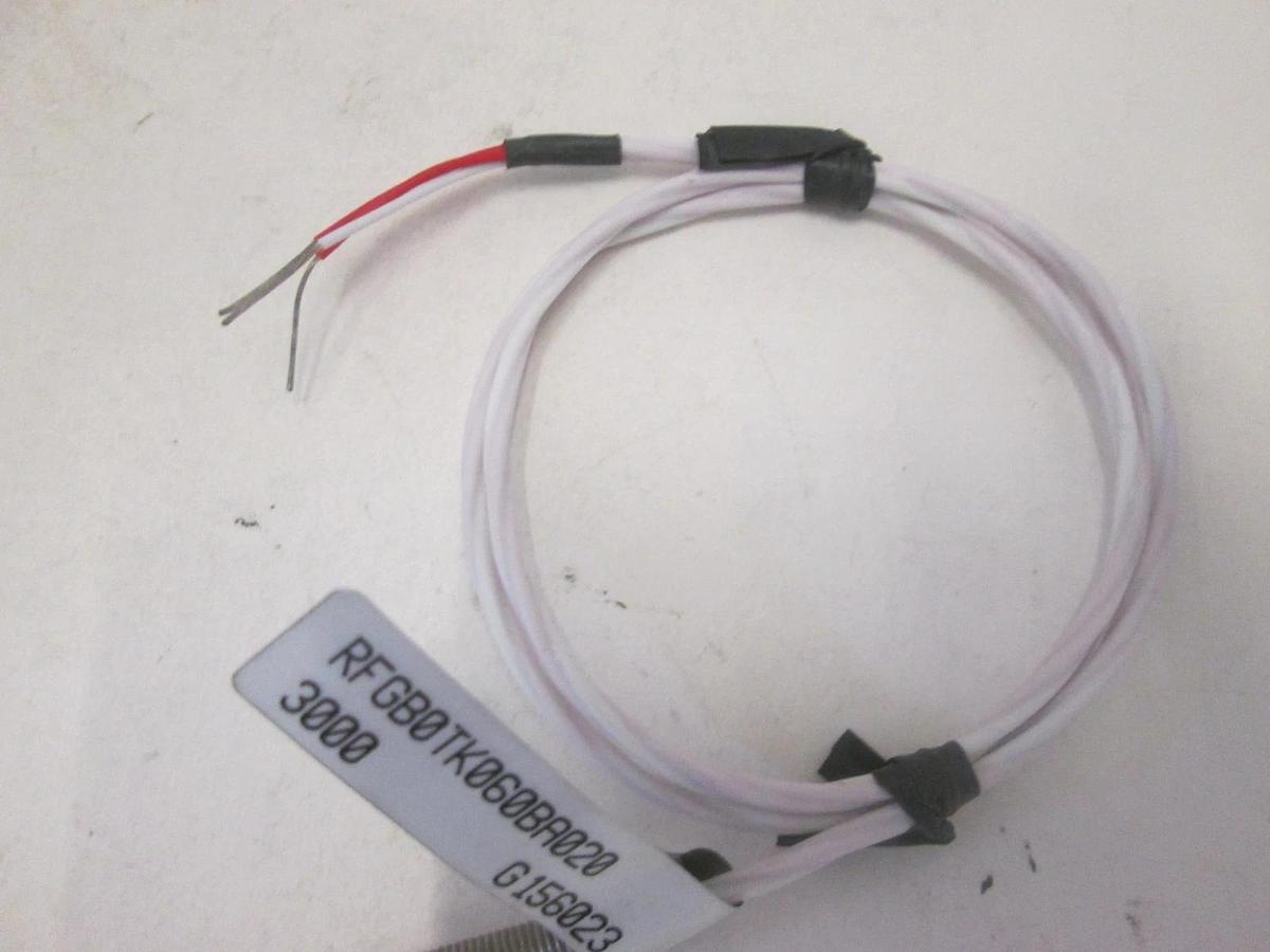 WATLOW, RFGBOTKO60BA020, RESISTOR TEMPERATURE DEVICE, New