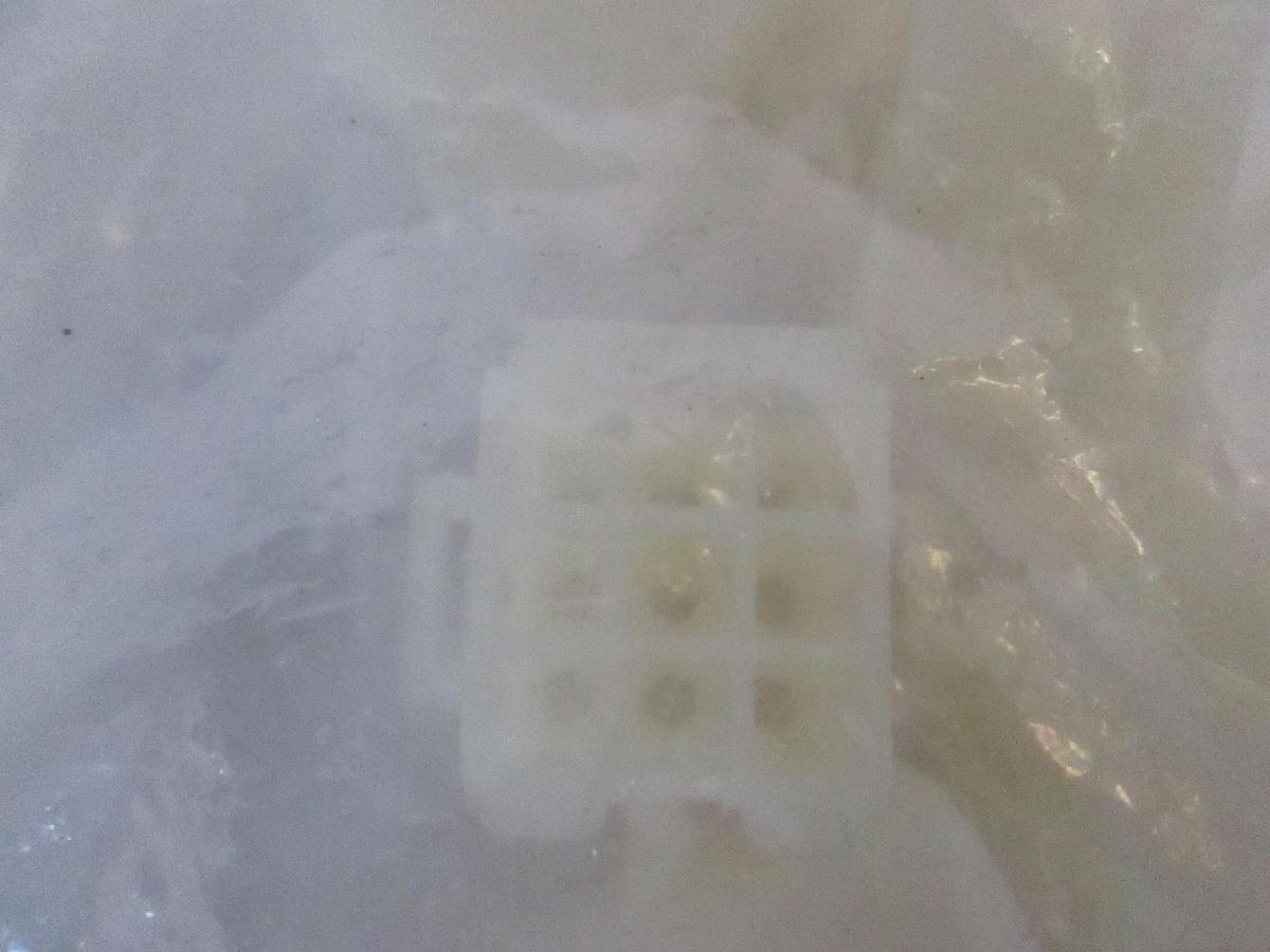 9 Position Recept Connector, 300406, New, Unknown Lot