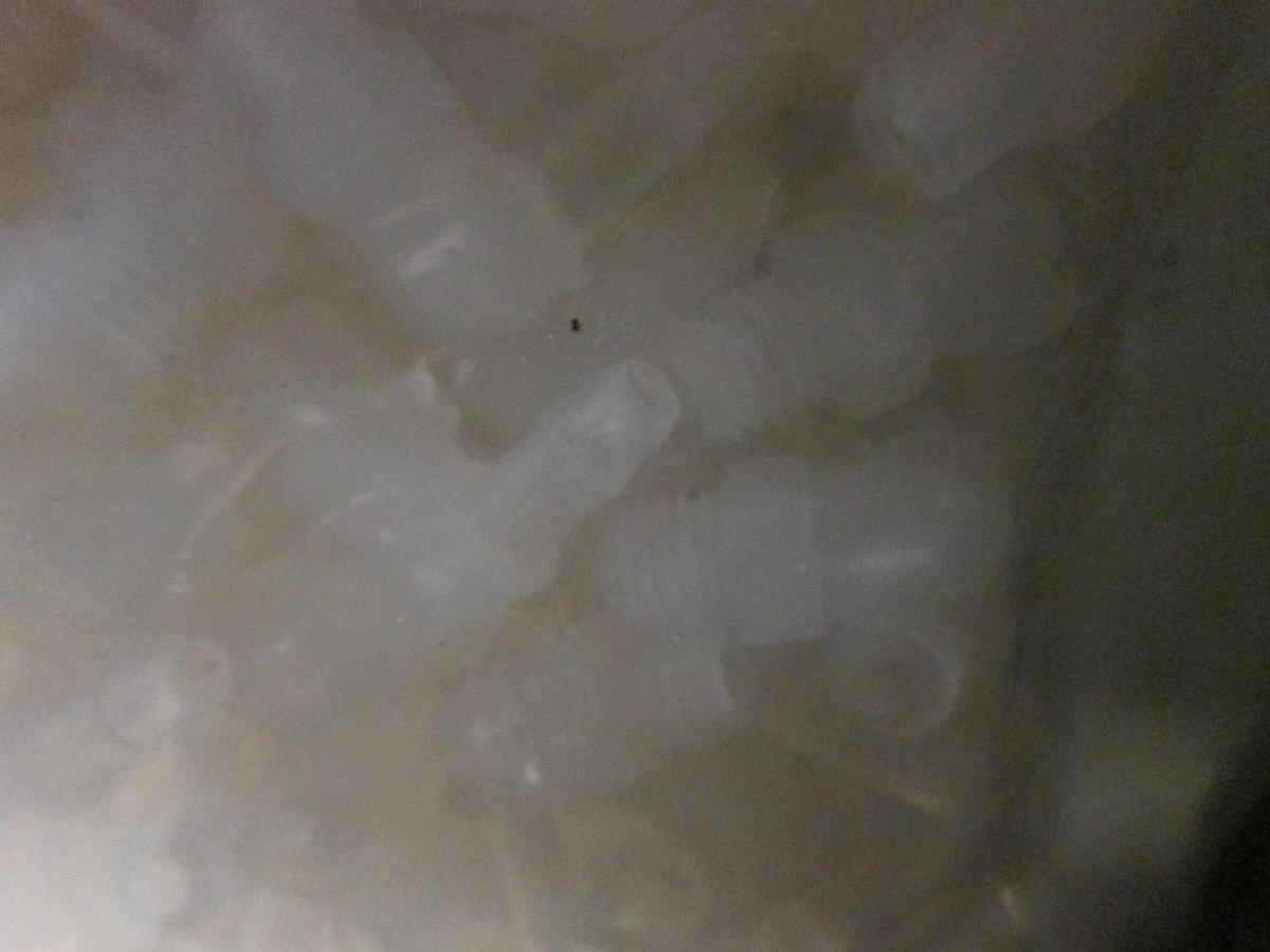 VALUE PLASTICS, XL430-20, ELBOW,BARB, 1/8IDX10-32,KYNAR, New, Lot of 200