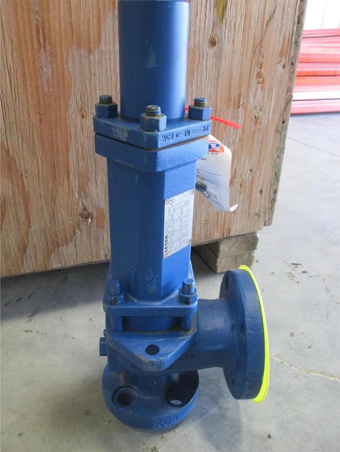 Leser, Pressure Relief Valve, 5262.0022, RV-06901, Size NPS1, unused