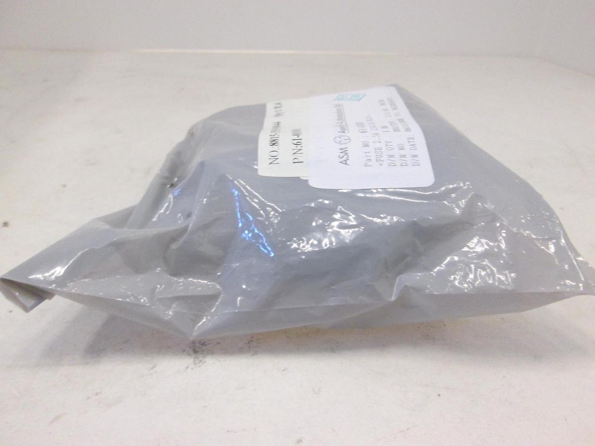 Used ASM, Fuse 2.5A, 250V Slow Blow, 61-01003, New