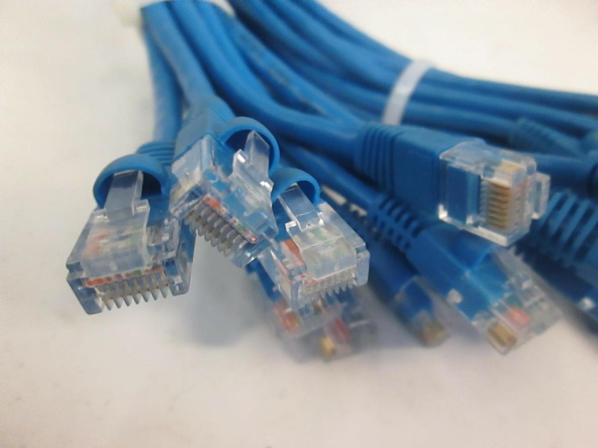 Used Ethernet Patch Cable To TIA/EIA, E188601, 1ft, Blue, Lot of 25