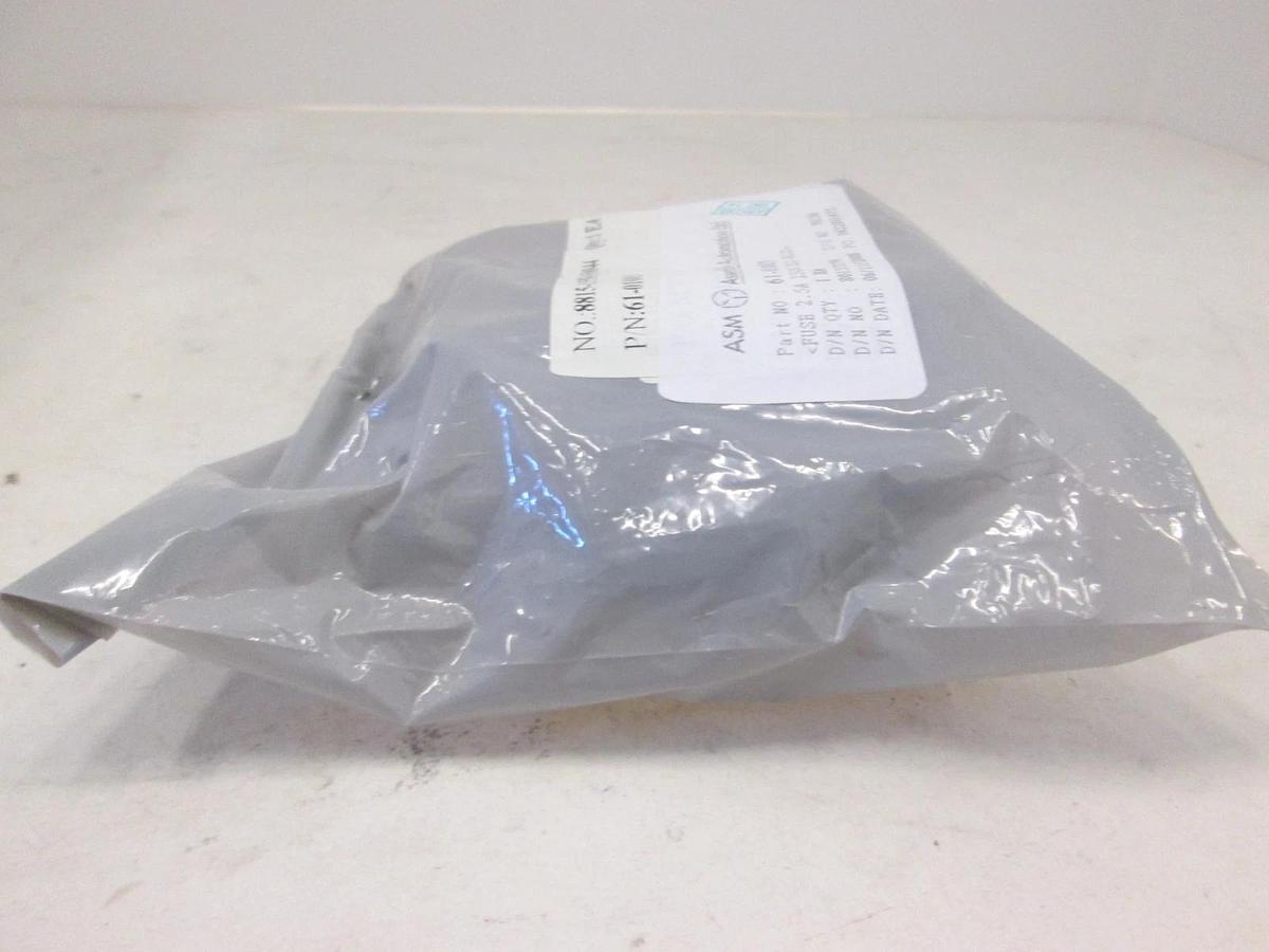 ASM, Fuse 2.5A, 250V Slow Blow, 61-01003, New