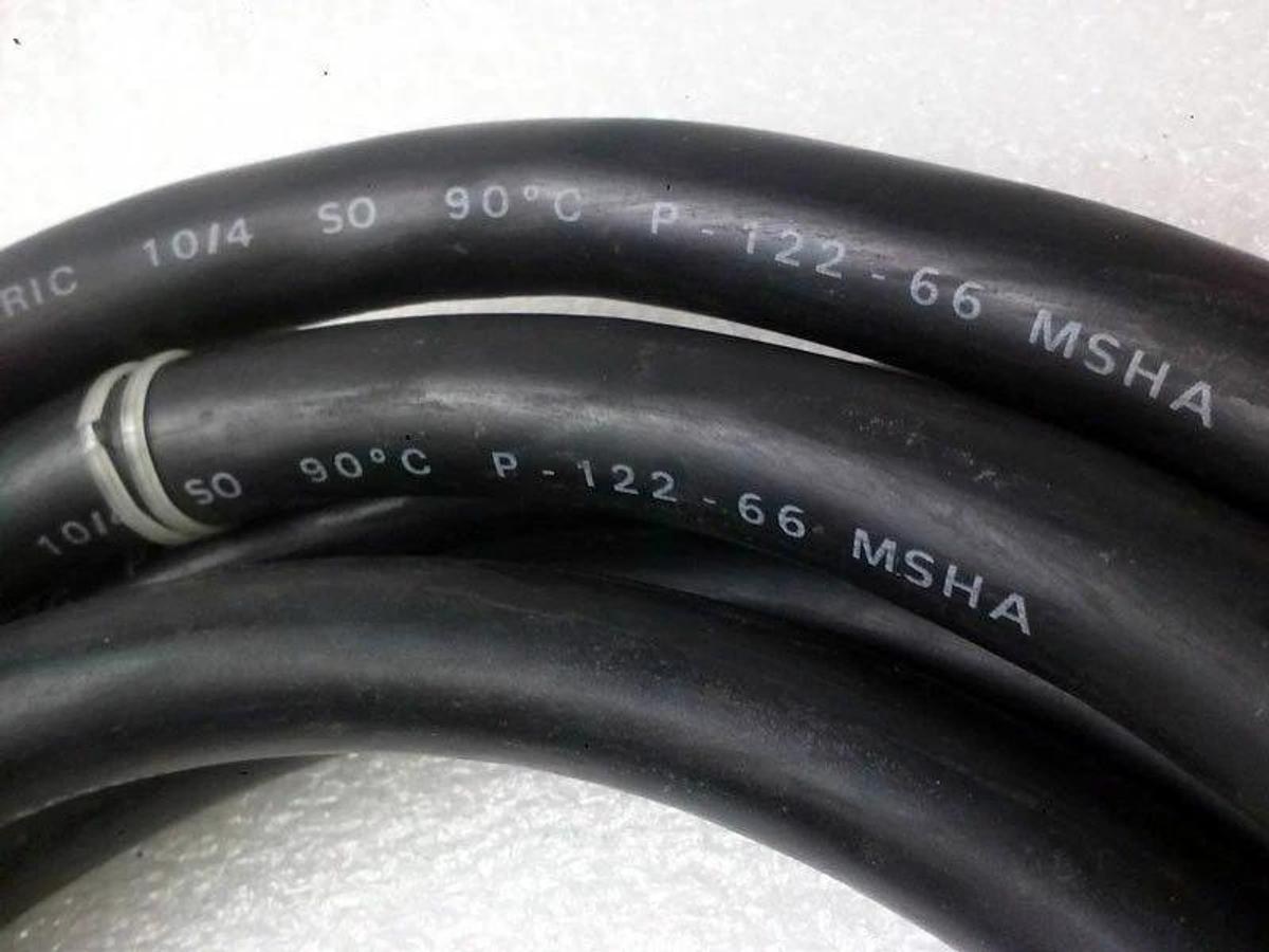 Used Royal Electric P12266 Cable with Male/Female Hubbell 23IA Twist Lock, 12ft, Used