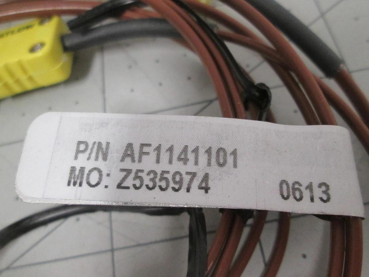 Watlow, AF1141101, Z535974, Thermocouple, New