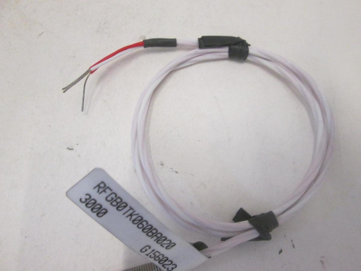 Used WATLOW, RFGBOTKO60BA020, RESISTOR TEMPERATURE DEVICE, New