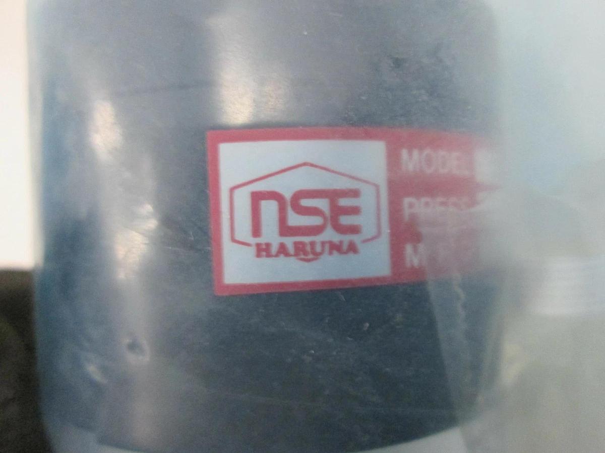 NSE, High Temp Bellows Valve,4kg/cmG, NSAVH-8, New