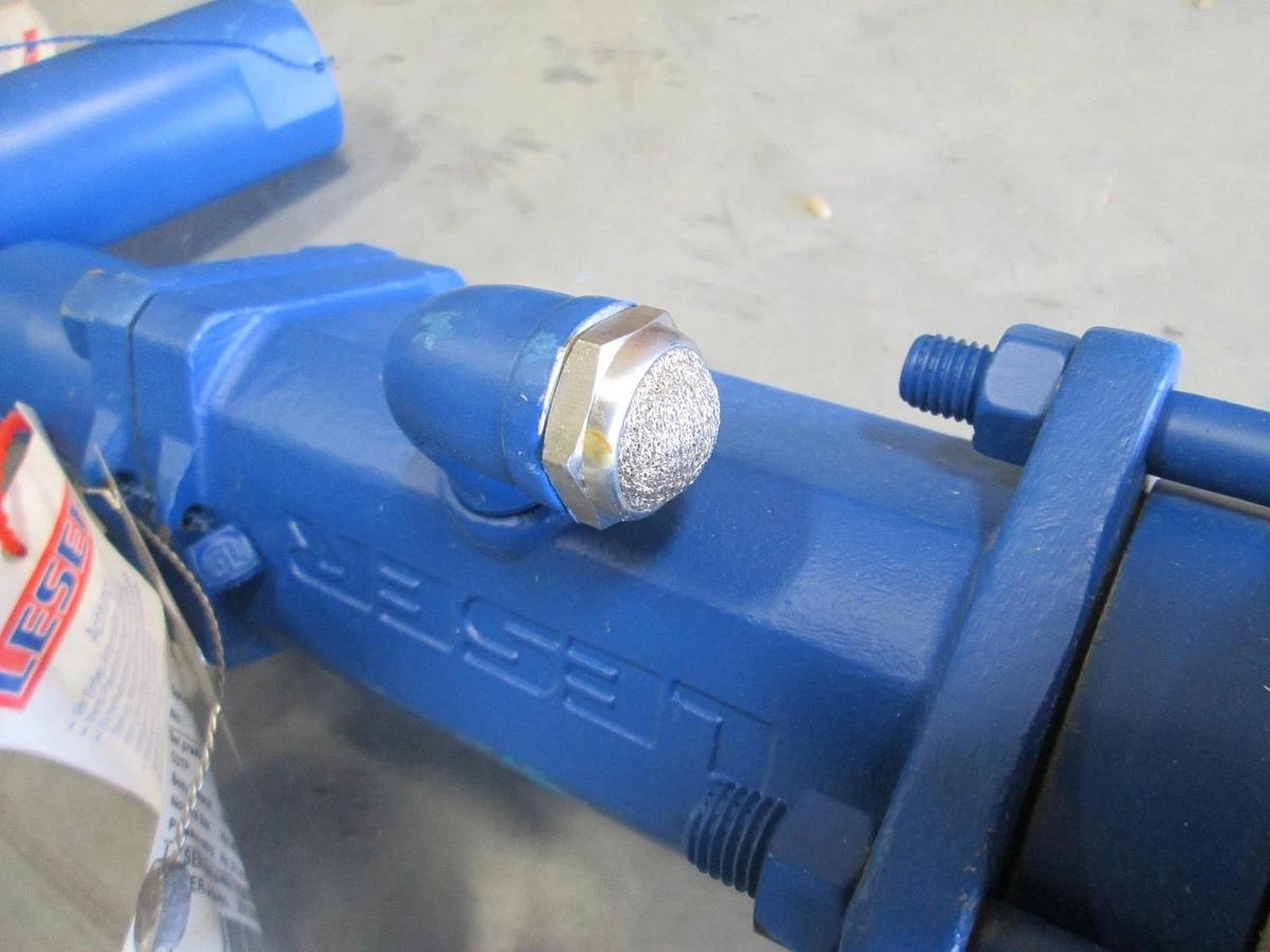 Leser, Pressure Relief Valve, 5262.0022, RV-06901, Size NPS1, unused