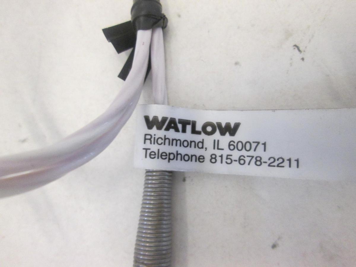Used WATLOW, RFGBOTKO60BA020, RESISTOR TEMPERATURE DEVICE, New