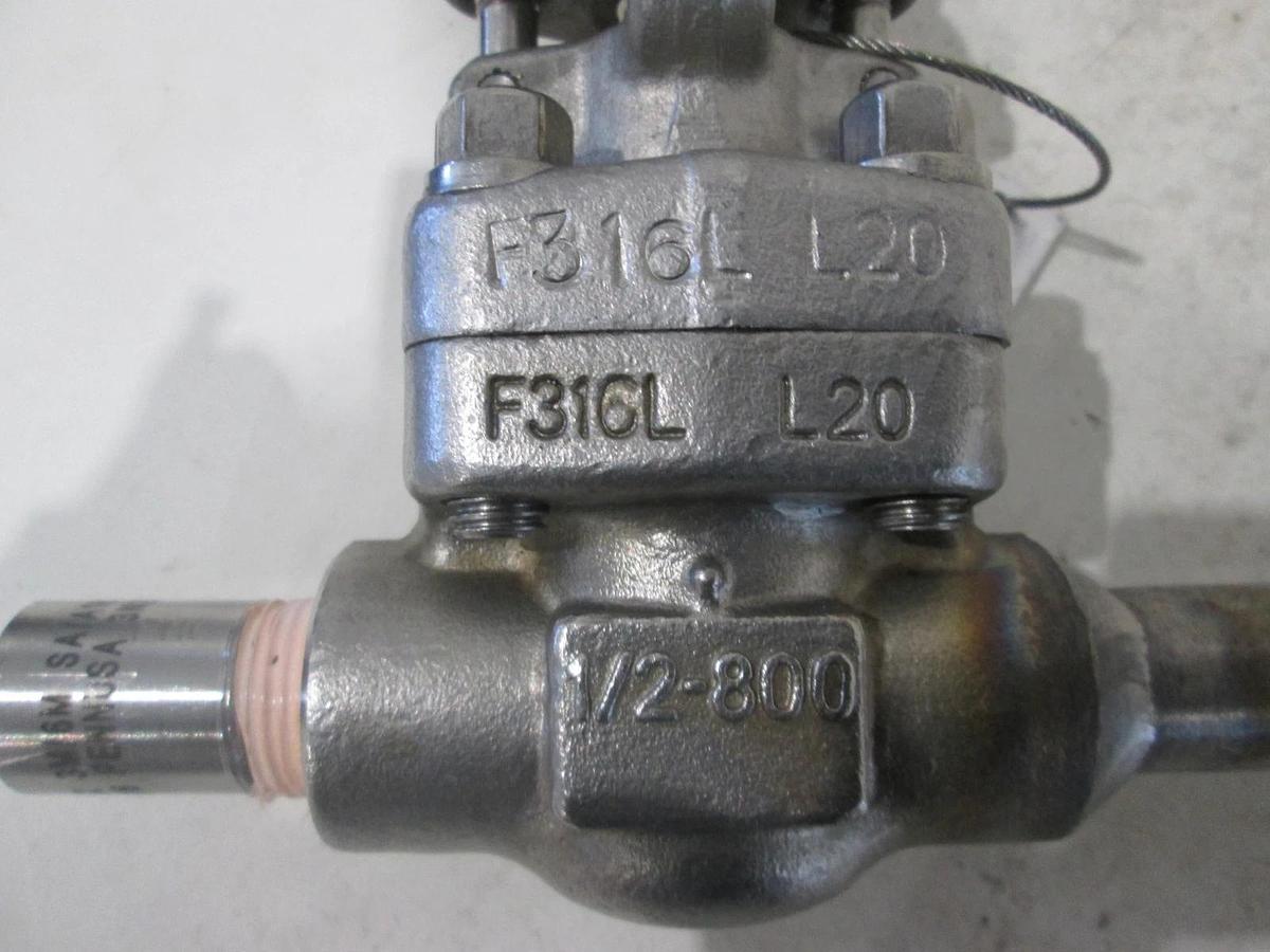 Williams, Double Gate Valve, 1600 PSI, FS80T62N-F316L, 1/2", New