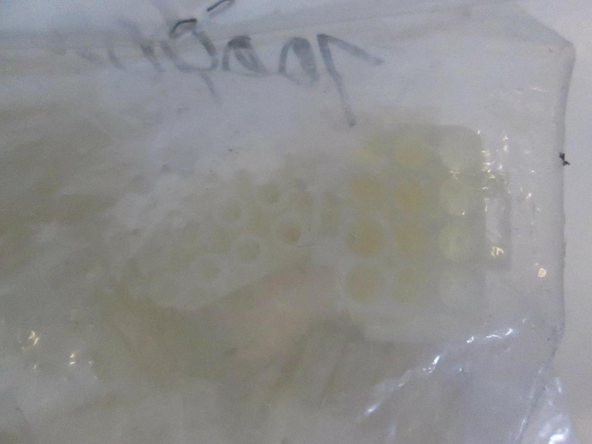 12 Position Recept Connector, 700903-00, New, Unknown Lot