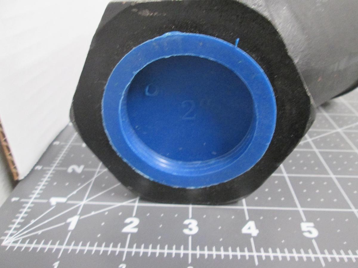 2" Unbranded FM Approved Fire Protection Swing Check Valve Cast Iron