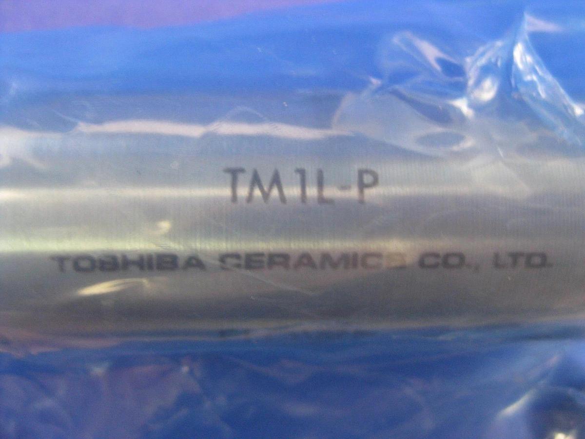 Toshiba Ceramics TM1L-P CE Pure In-Line Gas Filter FJFTMJFK, NEW