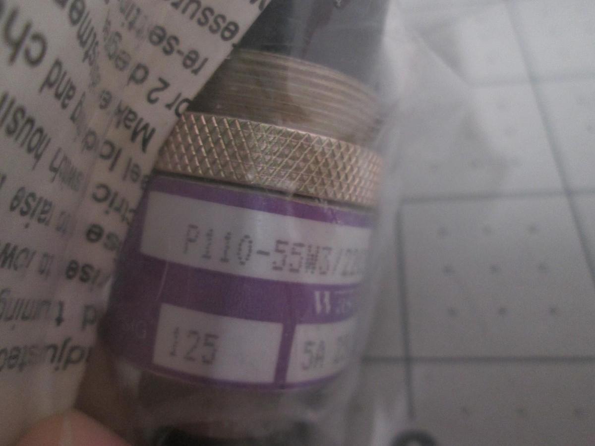 Wasco, P110-55W3/2202-5, 125 PSIG, 250 VAC, Pressure Switch, New