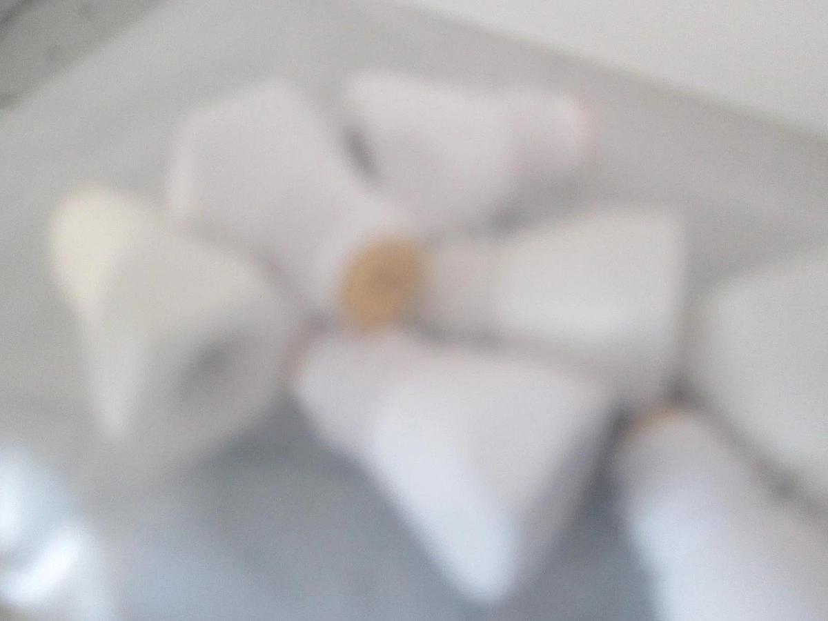 Simco, 4105798, Electrode, Hex HD, Spare, New, Lot of 13