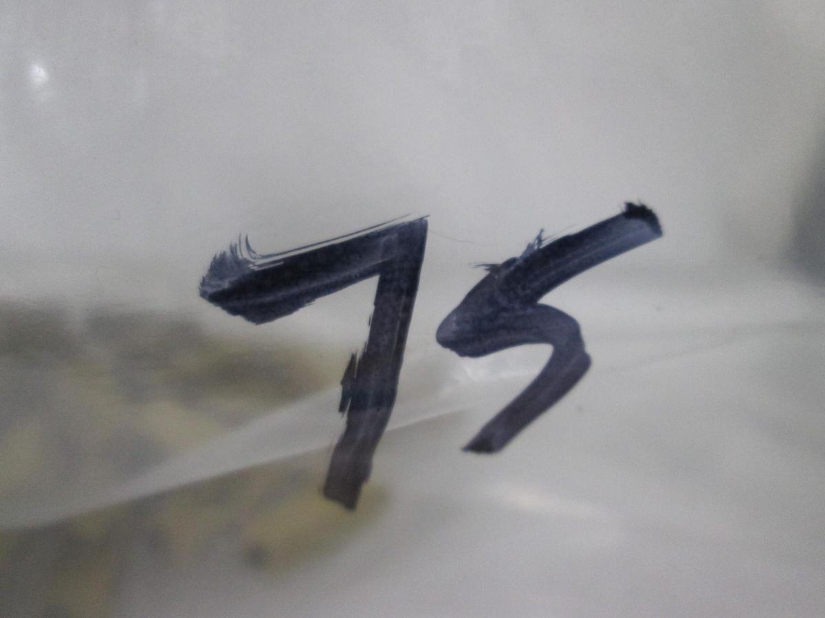 Bourns, 43P202T050, 2K 8326, OHM Trimming Resistor, New, Lot of 75