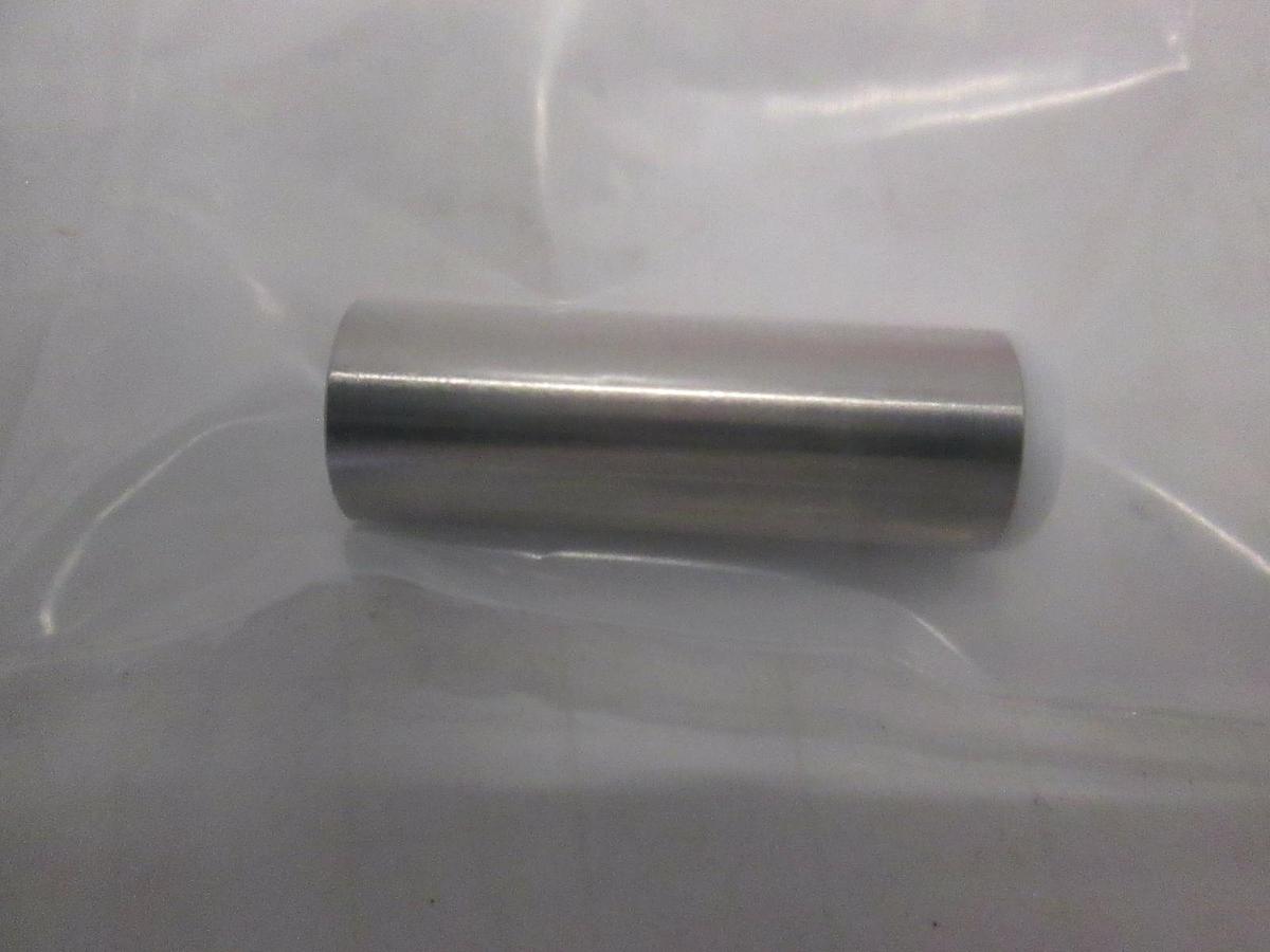 AMAT, Plunger, Hinge Lock RTP Lite, 0040-07542, New, Lot of 6