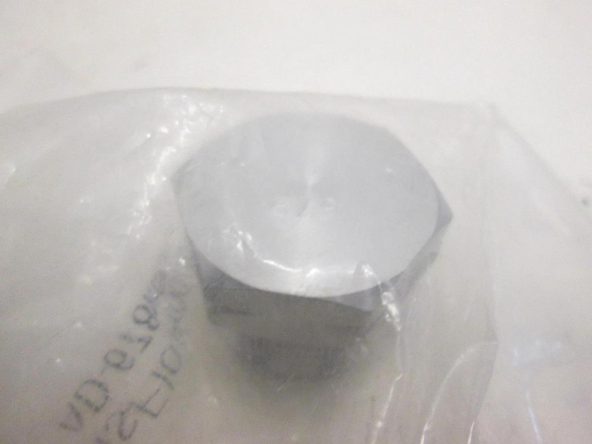 GasFlo Products, AD-678MSS-BL, Male Blank Plug, New