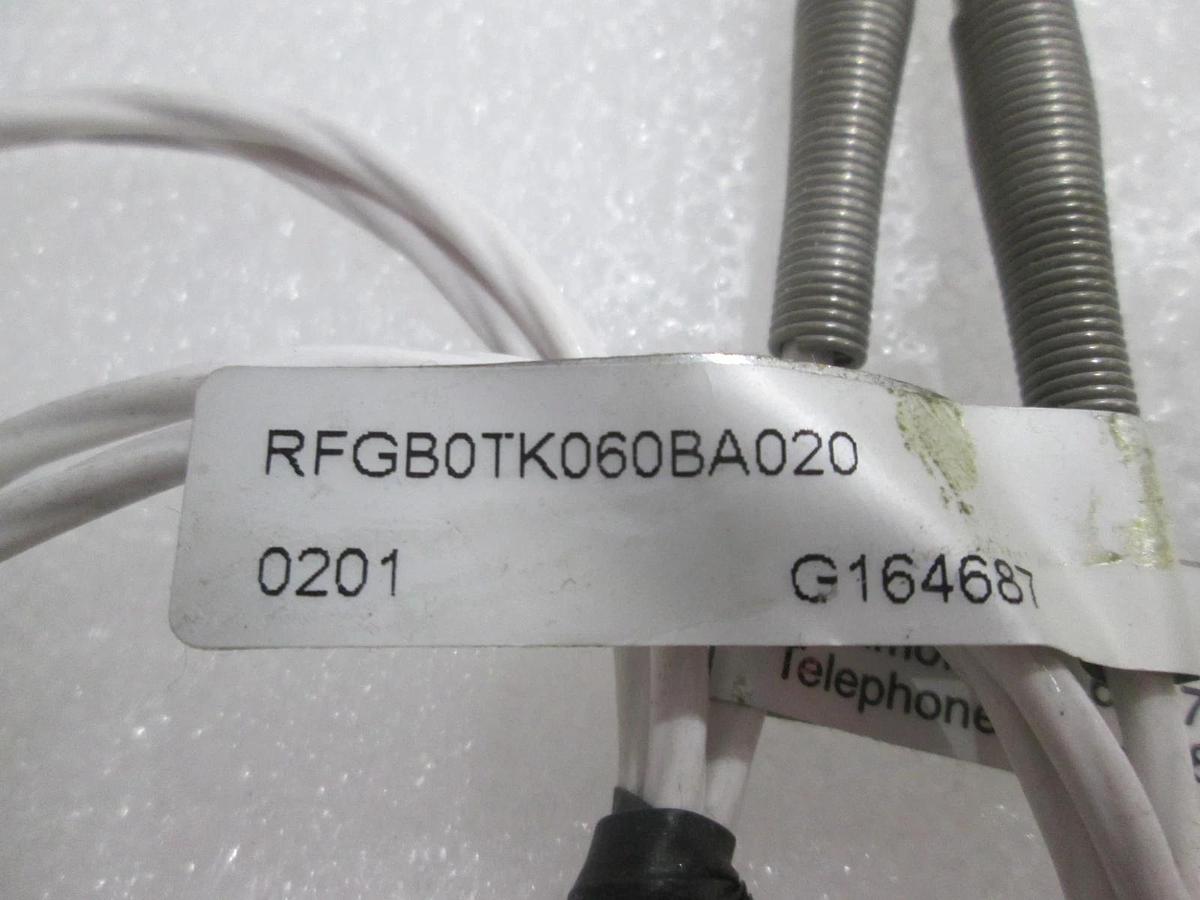 Watlow, RFGB0TK060BA020, New, Lot of 2