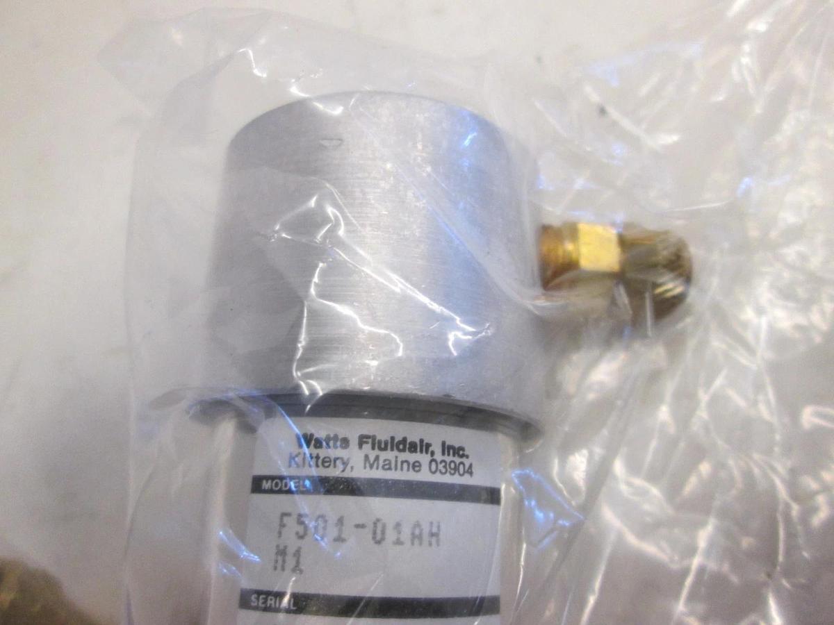 Used Watts Fluidals, Inc. Filter, F501-01AH M1, Used, Lot of 2