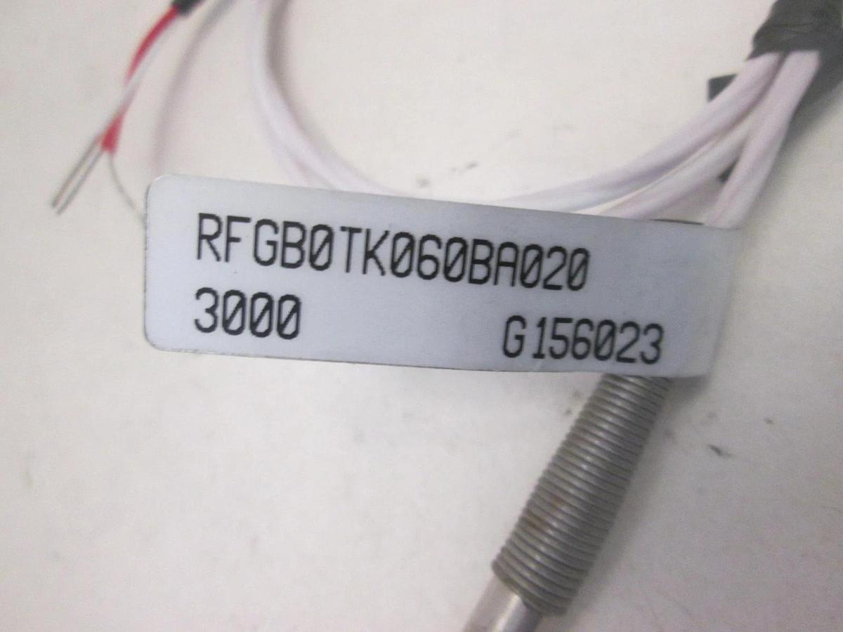 WATLOW, RFGBOTKO60BA020, RESISTOR TEMPERATURE DEVICE, New