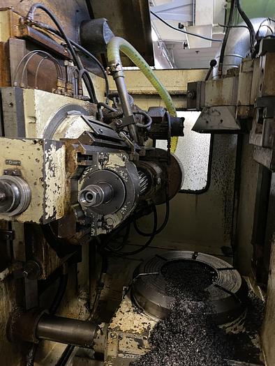 Installata Dentatrice a Creatore WMW MODUL ZFWZ 400/4