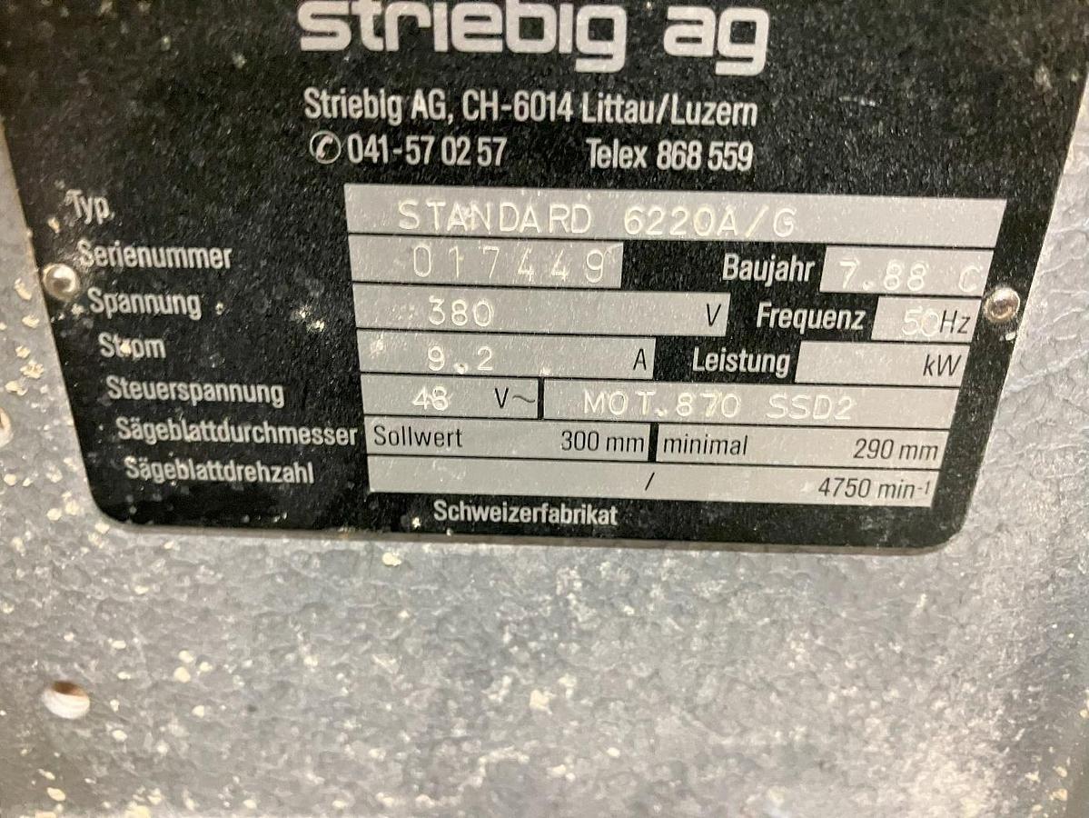 Gebraucht Striebig Plattensäge stehend