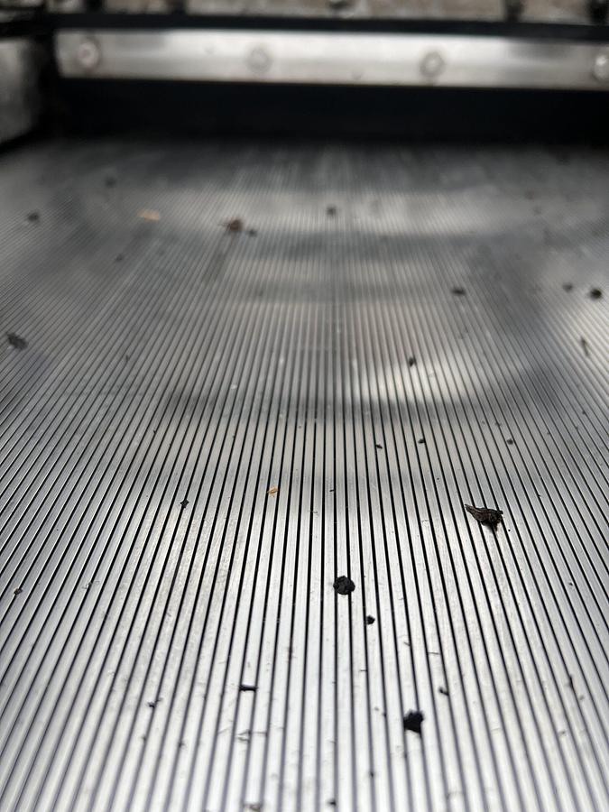 Used 2023 effluent pit elevator