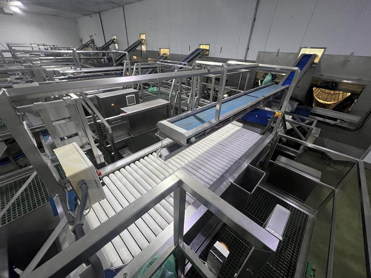 Used Continuous Potato Peeling Line