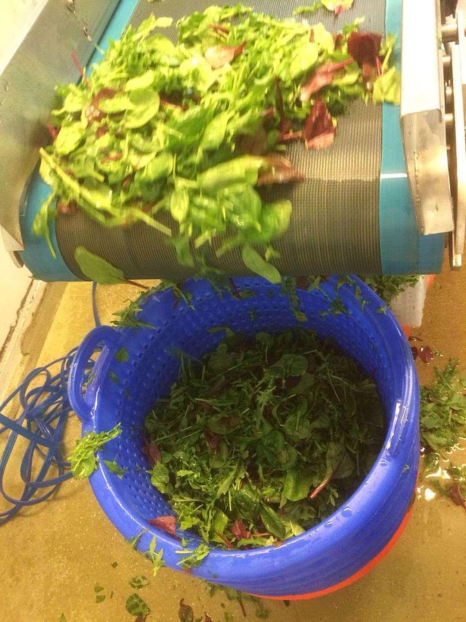 Salad Spinning Baskets & Trolleys