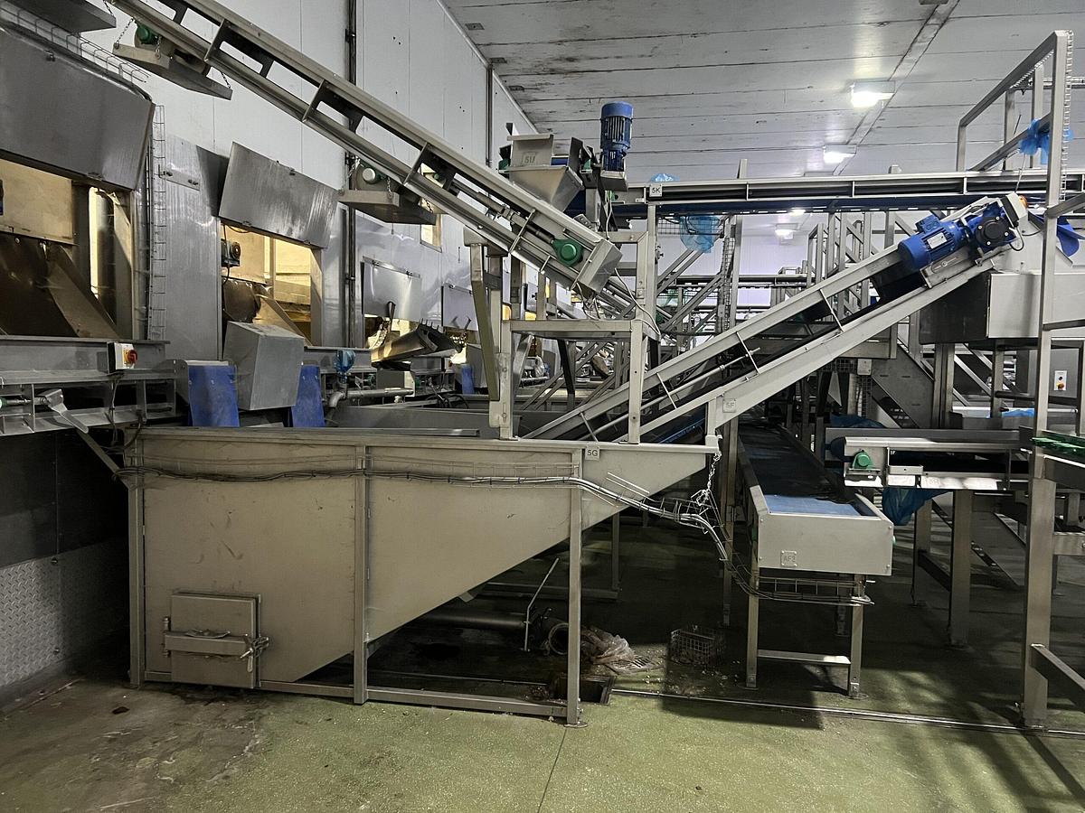 Used Continuous Potato Peeling Line