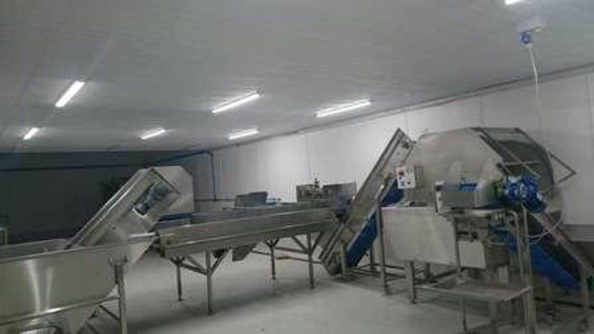 Used Jaycraft Peeling Line 8
