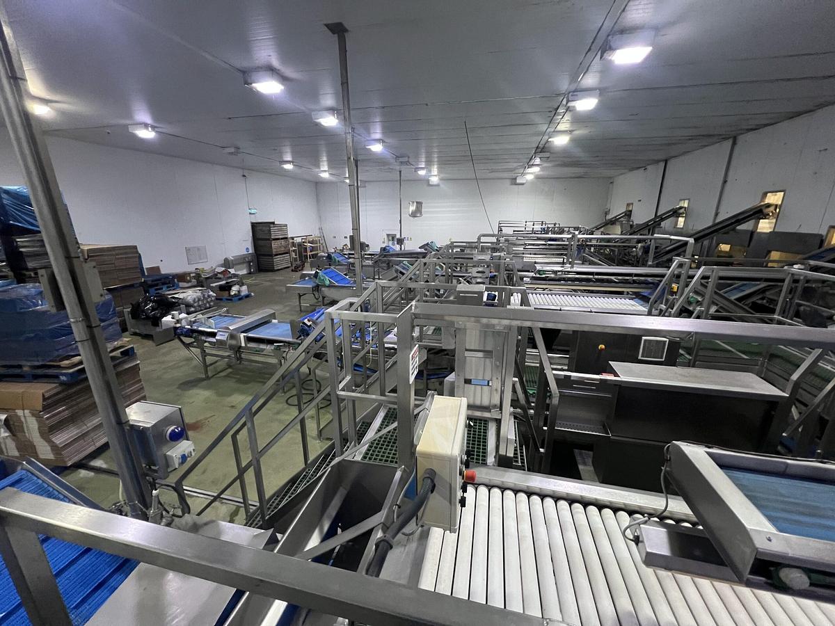 Used Continuous Potato Peeling Line