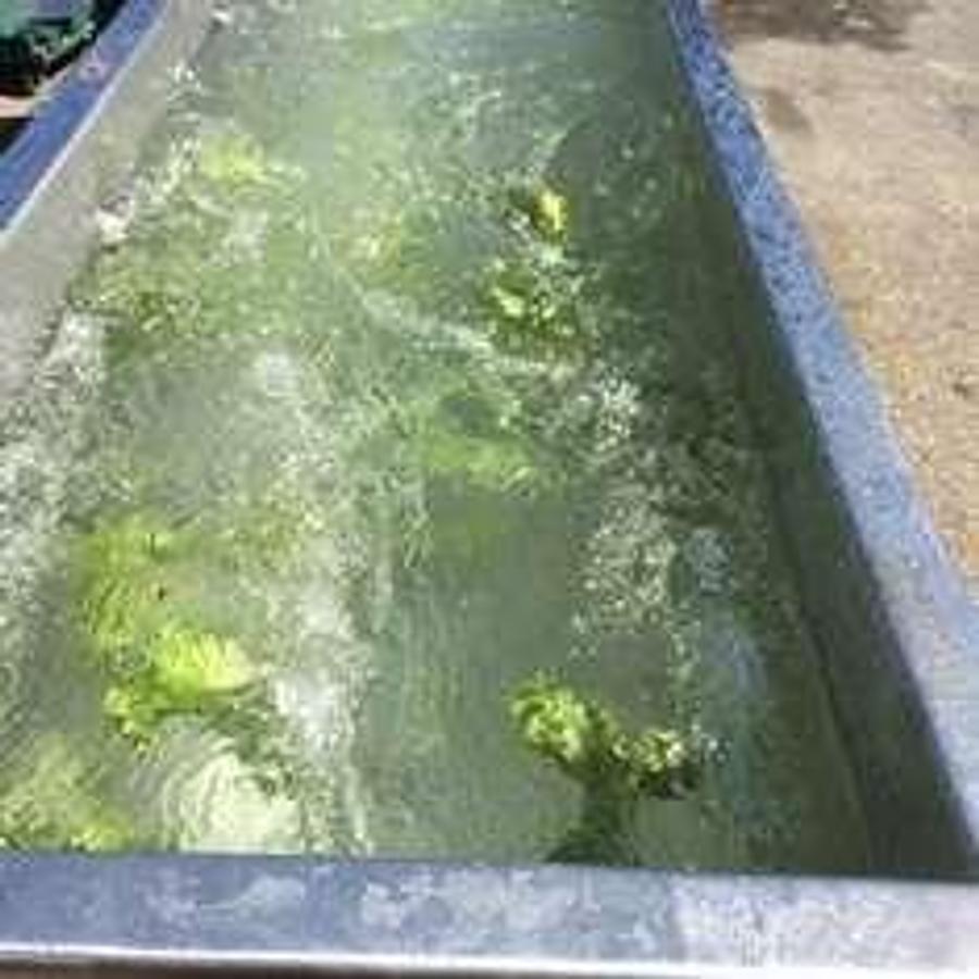 Used JC Double Flume Washer