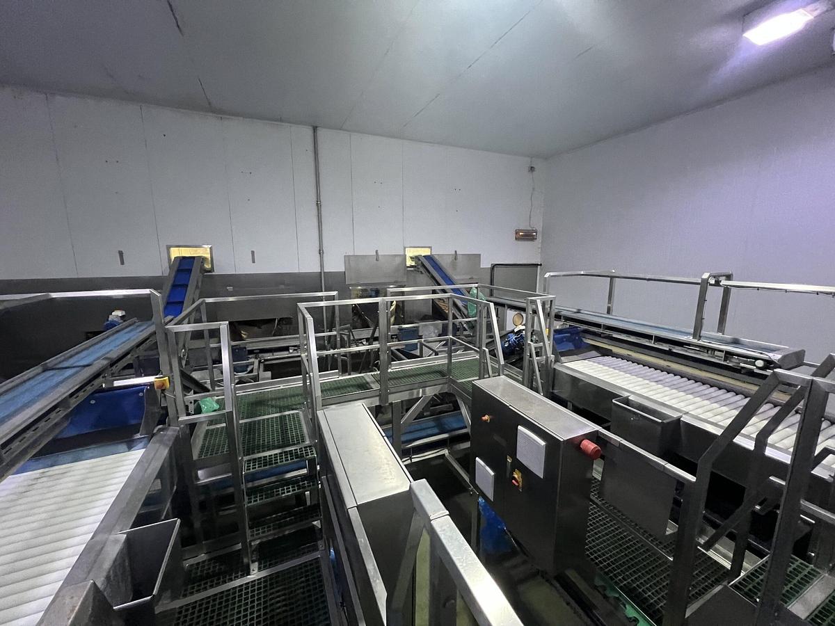 Used Continuous Potato Peeling Line